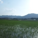 상노농장 이미지