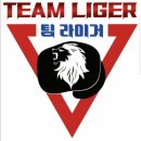 팀라이거복싱 이미지