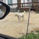 스테이700 | 대구 군위 해발 700m 뷰가 끝내주는 스테이700 캠핑장 내돈내산 후기