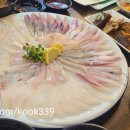 활어엔초밥 네이버블로그