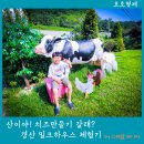 용성농장 | 경산 아이와 농장체험 장소추천, 남천 밀크하우스 수제 치즈만들기 후기