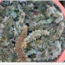 기장월전장어구이 이미지