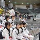 천무도담합기도 이미지