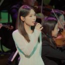 최유리 - 숲 (with 디토 오케스트라) 이미지