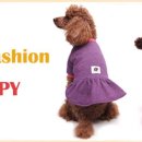 링크애견샵 이미지