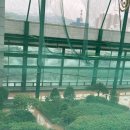 가경골프랜드 이미지