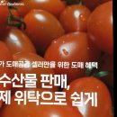 농수산물위탁판매 프레셔