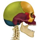고운이치과 이미지