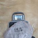 수진수산 - 강화군 중앙로 17-9 | 아이니호 수진수산 한치손질 후기