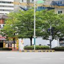 문학경기장 사거리 교통섬 이미지