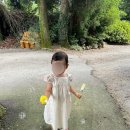 시호시재 sihosijae 봉봉,벨르 라인 후기 (feat. n년째 사이즈업중인)