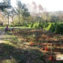 정일초등학교 이미지