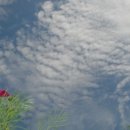 바람처럼구름처럼 이미지