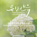 세계자연건강포럼 이미지
