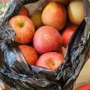 혜원상회 이미지