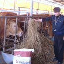 김영길농장 이미지