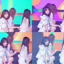 리니 Daum카페