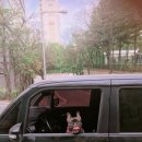 화정공원 이미지