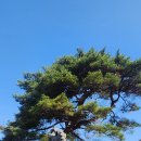 지리산리조트 글램핑 이미지