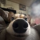 구일고등학교 | 열일곱 👋