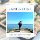 세븐일레븐강릉아들바위점 | 5월 강릉 주문진 가볼만한곳 도깨비촬영지 바다뷰펜션 추천
