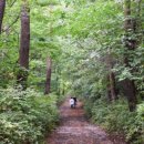 계곡 끝집 이미지