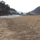 안성공인중개사사무소 이미지