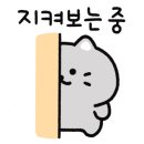 마마칼국수 - 제주시 한라대학로 87 | 마마칼국수