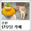 단우물카페 | 춘천 아이랑 가기 좋은 카페 단우물카페 망고빙수 내돈내산 후기