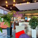 카페 바이올렛 이미지