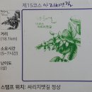 원주굽이길 15코스 싸리치옛길 | 원주굽이길(15코스) : 싸리치옛길