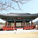 왕인박사유적지 월악루 Daum카페