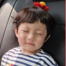 덕진공원 관광안내소 이미지