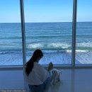 데이토나풀빌라 이미지