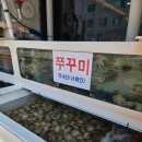 맛기행사계절 | 사당동 샤브샤브 맛기행사계절 새조개 보양식 먹을 수 있는 맛집