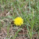 중랑천길 이미지