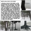 바다언덕 이미지