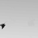 Connection 이미지