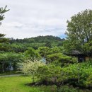 영산강로 이미지