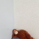 고양호박손칼국수