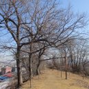 강화읍-3 이미지