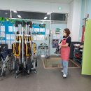 늘푸른방역센터 Daum카페