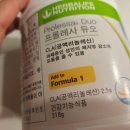 허벌라이프 꽁코치