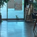 와이케이호텔 | 너와보낸 하루는 내가 가장 좋하는 날이야⋰˚☆ : 소소한 요즘 일상♡°ஂ