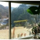 사미정민박 이미지