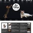 미파캐터리 이미지