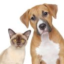 좋은우리약국 이미지