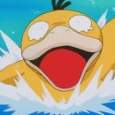 관악구민종합체육센터 이미지