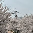 오밤 | 스무장 일상 #27