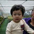 오가어린이집 이미지